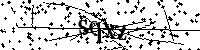 Inserire le lettere e i numeri qui sotto