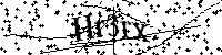 Inserire le lettere e i numeri qui sotto