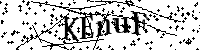 Bitte die Buchstaben und Zahlen unten eingeben