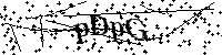 Bitte die Buchstaben und Zahlen unten eingeben
