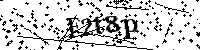 Inserire le lettere e i numeri qui sotto