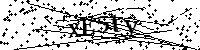 Inserire le lettere e i numeri qui sotto