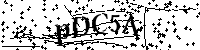 Inserire le lettere e i numeri qui sotto