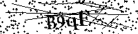 Bitte die Buchstaben und Zahlen unten eingeben