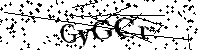 Inserire le lettere e i numeri qui sotto