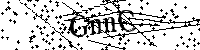 Inserire le lettere e i numeri qui sotto