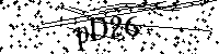 Inserire le lettere e i numeri qui sotto