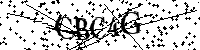 Bitte die Buchstaben und Zahlen unten eingeben