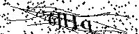 Inserire le lettere e i numeri qui sotto