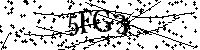 Inserire le lettere e i numeri qui sotto