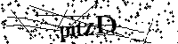 Inserire le lettere e i numeri qui sotto