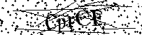 Inserire le lettere e i numeri qui sotto