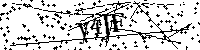 Inserire le lettere e i numeri qui sotto