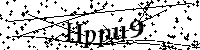 Inserire le lettere e i numeri qui sotto