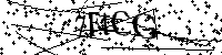 Inserire le lettere e i numeri qui sotto
