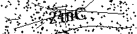 Inserire le lettere e i numeri qui sotto