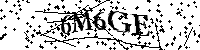 Inserire le lettere e i numeri qui sotto