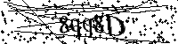 Inserire le lettere e i numeri qui sotto