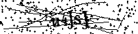 Inserire le lettere e i numeri qui sotto