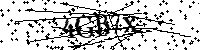 Inserire le lettere e i numeri qui sotto