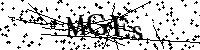 Bitte die Buchstaben und Zahlen unten eingeben
