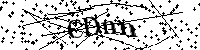 Inserire le lettere e i numeri qui sotto