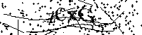 Inserire le lettere e i numeri qui sotto