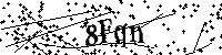 Inserire le lettere e i numeri qui sotto