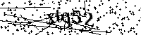 Inserire le lettere e i numeri qui sotto