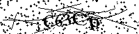 Inserire le lettere e i numeri qui sotto