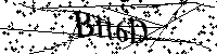 Bitte die Buchstaben und Zahlen unten eingeben