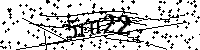 Inserire le lettere e i numeri qui sotto