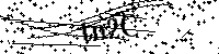 Inserire le lettere e i numeri qui sotto
