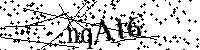 Inserire le lettere e i numeri qui sotto