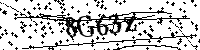Inserire le lettere e i numeri qui sotto