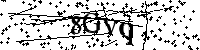 Inserire le lettere e i numeri qui sotto