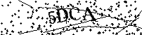 Inserire le lettere e i numeri qui sotto