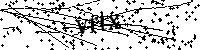 Inserire le lettere e i numeri qui sotto