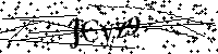 Inserire le lettere e i numeri qui sotto