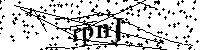 Inserire le lettere e i numeri qui sotto