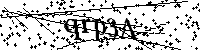 Inserire le lettere e i numeri qui sotto