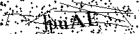 Inserire le lettere e i numeri qui sotto