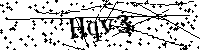 Inserire le lettere e i numeri qui sotto