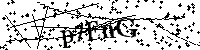 Inserire le lettere e i numeri qui sotto