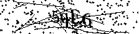 Inserire le lettere e i numeri qui sotto