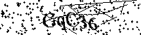 Inserire le lettere e i numeri qui sotto