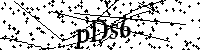 Inserire le lettere e i numeri qui sotto