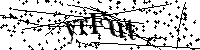 Inserire le lettere e i numeri qui sotto