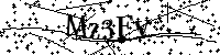 Bitte die Buchstaben und Zahlen unten eingeben