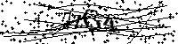 Inserire le lettere e i numeri qui sotto